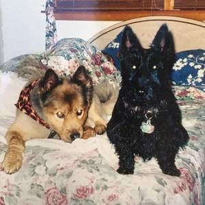 Meet your Posher, Frank